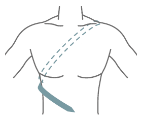 art.576 - Corretor Postural - Image 3